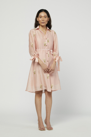 Rosa embroidered Dress