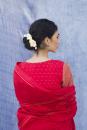 Red Oorja zarisari with silk  suzni blouse