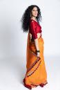 Orange and maroon Baghpat  Handwoven Organza Silk Sari
