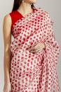 Red and white sherbet batasha saree and blouse